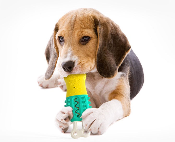 Summer Cooling Cleaning  Care Teeth Pet Chewing Supplies